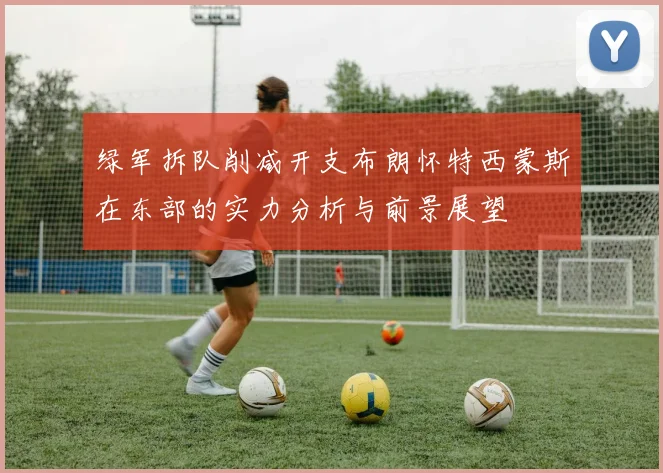 绿军拆队削减开支布朗怀特西蒙斯在东部的实力分析与前景展望