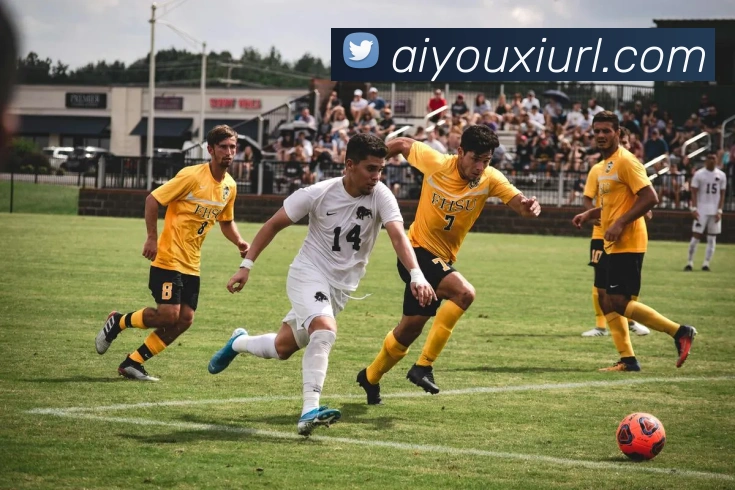 爱游戏体育APP 封面图